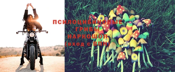 кокс Лагань